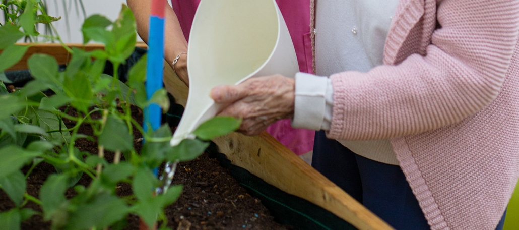 Taller De Horticultura Y Jardinería En Centro De Día Salus Mayores