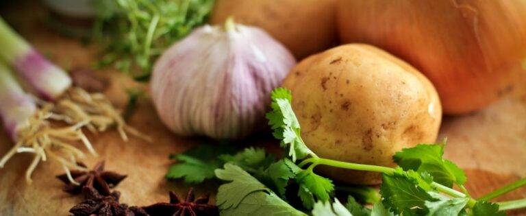 Salud y alimentación