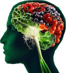 Alzheimer Salus Mayores